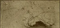 An illustration from Italian painters; (1892)