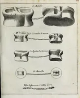 Picture 6 of 7 from I tali ed altri strumenti lusorj degli antichi Romani (1734), leaf 109