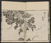 An illustration from Itchō gafu (1770)