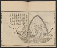 An illustration from Itchō gafu (1770)