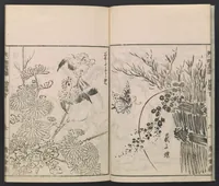 An illustration from Itchō gafu (1770)