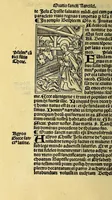 An illustration from Itinerarij terre sancte: inibiq[ue] sacrorum locoru[m]: ac rerum clarissima descriptio: omnibus sacre scripture tractatoribus vtilissima: peramena auditoribus: (1525)
