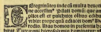 An illustration from Itinerarij terre sancte: inibiq[ue] sacrorum locoru[m]: ac rerum clarissima descriptio: omnibus sacre scripture tractatoribus vtilissima: peramena auditoribus: (1525)