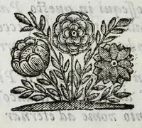 Picture 3 of 24 from Itinerario et sincero racconto del viaggio fatto dall'Altezza Serenissima del signor prencipe di Parma Alessandro Farnese per la Francia, Inghilterra, Olanda, Fiandra, e Spagne : doue di presente vi tiene il posto di capitan generale della caualleria per Sua Maestà Cattolica nell'esercito d'Estremadura contro Portugallo : et vi si contengono viaggi per diuersi regni, & sue distanze : descrittioni delle città principali d'essi, & numero d'habitanti : incoronatione di Carlo II Stuardo rè d'Inghilterra & sua caualcata : battaglie campali & assedij di piazze reali : discorso della republica di Colonia, e suo gouerno democratico : morte & seppoltura di Filippo IIII rè di Spagna (1666), leaf 10