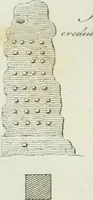 An illustration from Itinerario figurato degli edifizi più rimarchevoli di Roma (1835)