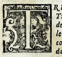 An illustration from Itinerario, overo, Nova descrittione de'viaggi principali d'Italia : nella quale si hà piena notitia di tutte le cose più notabili, & degne d'essere vedute (1629)