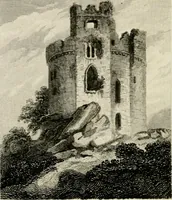 An illustration from The antiquarian itinerary, comprising specimens of architecture, monastic, castellated, and domestic; with other vestiges of antiquity in Great Britain. Accompanied with descriptions (1815)