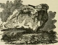 An illustration from The antiquarian itinerary, comprising specimens of architecture, monastic, castellated, and domestic; with other vestiges of antiquity in Great Britain. Accompanied with descriptions (1815)