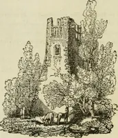 An illustration from The antiquarian itinerary, comprising specimens of architecture, monastic, castellated, and domestic; with other vestiges of antiquity in Great Britain. Accompanied with descriptions (1815)