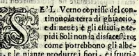 An illustration from I torti amorosi : comedia (1581)
