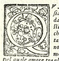 Picture 23 of 25 from I trattenimenti di Scipion Bargagli : dove da vaghe donne e da giouani huomini rappresentati sono honesti e diletteuoli givochi : narrate novelle : e cantate alcune amorose canzonette (1587), leaf 248