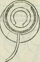 An illustration from I tre libri della perspettiva commvne (1593)
