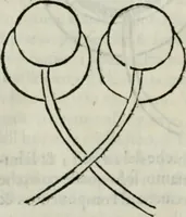 Picture 18 of 57 from I tre libri della perspettiva commvne (1593), leaf 43