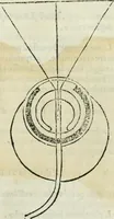 An illustration from I tre libri della perspettiva commvne (1593)
