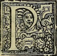 An illustration from I tre libri di Messer Giovan Battista Svsio della ingivstitia del dvello : et di coloro, che lo permettono : all'invittiss et Christianissimo Henrico Secondo Re di Francia (1558)