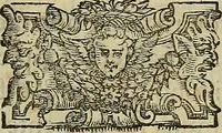 An illustration from I tre libri di Messer Giovan Battista Svsio della ingivstitia del dvello : et di coloro, che lo permettono : all'invittiss et Christianissimo Henrico Secondo Re di Francia (1558)