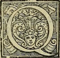 An illustration from I tre libri di Messer Giovan Battista Svsio della ingivstitia del dvello : et di coloro, che lo permettono : all'invittiss et Christianissimo Henrico Secondo Re di Francia (1558)