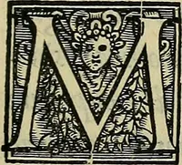 An illustration from I tre libri di Messer Giovan Battista Svsio della ingivstitia del dvello : et di coloro, che lo permettono : all'invittiss et Christianissimo Henrico Secondo Re di Francia (1558)