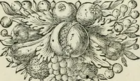 An illustration from I trionfi dell'architettvra nella sontuosa residenza di Monaco ... (1680)