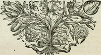 An illustration from I trionfi dell'architettvra nella sontuosa residenza di Monaco ... (1680)