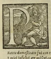 An illustration from I Trionfi del Petrarcha : con la spositione di M. Giovanni Andrea Gesualdo da Traetto (1553)