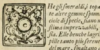 An illustration from I trionfi del Sannio per le glorie dell' invittissimo martire S. Gennajo, cittadino, vescovo, e protettore di Benevento, celebrati in una accademia havuta dagli signori Accademici Ravvivati nella S. Chiesa Metropolitana di detta città : alla presenza dell'illustriss. e reverendiss. monsignor Giovanni degl' Effetti governadore e del fior della nobiltà, frà l'ottava di detto santo a' 22 settembre 1699 (1699)