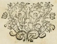 An illustration from I trionfi del Sannio per le glorie dell' invittissimo martire S. Gennajo, cittadino, vescovo, e protettore di Benevento, celebrati in una accademia havuta dagli signori Accademici Ravvivati nella S. Chiesa Metropolitana di detta città : alla presenza dell'illustriss. e reverendiss. monsignor Giovanni degl' Effetti governadore e del fior della nobiltà, frà l'ottava di detto santo a' 22 settembre 1699 (1699)