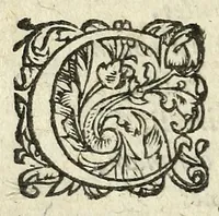Picture 3 of 6 from Iulij Caesaris Bulengeri Iuliodunensis Liber de spolijs bellicis, trophaeis, arcubus triumphalibus, & pompa triumphi : cui accessit liber Onuphrij Panuini Veronensis De triumpho & De ludis circensibus (1601), leaf 20