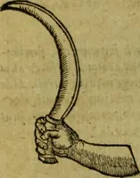 Picture 34 of 35 from Iusti LipsI De militia romana libri quinque : commentarius ad Polybium (1602), leaf 394