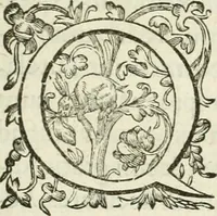 An illustration from Iusti RycquI De Capitolio Romano commentarius. In quo, illustria eius olim aedificia, sacra & profana: deorum dearumq[ue] nomina: arcus item triumphales, columnae, statuae, tropaea, colossi, caeteraque ornamenta adcuratè describuntur: & plura alia antiquitatis monimenta proferuntur, emendantur, explicantur (1617)