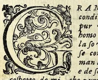 An illustration from I veri amanti : comedia (1612)