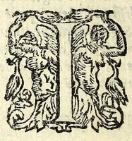 An illustration from I veri amanti : comedia (1612)