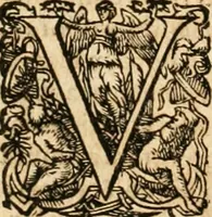 Picture 15 of 333 from I.[-VI.] pars Romanae vrbis topographiae & antiquitatum, quâ succinctê & breviter describuntur omnia quae tam publicê quam privatim videntur anim-adversione digna: (1597), leaf 199