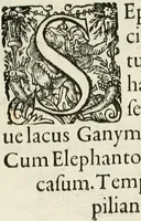 Picture 32 of 333 from I.[-VI.] pars Romanae vrbis topographiae & antiquitatum, quâ succinctê & breviter describuntur omnia quae tam publicê quam privatim videntur anim-adversione digna: (1597), leaf 232