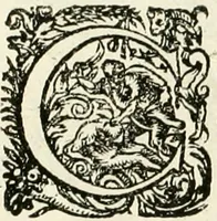 Picture 48 of 333 from I.[-VI.] pars Romanae vrbis topographiae & antiquitatum, quâ succinctê & breviter describuntur omnia quae tam publicê quam privatim videntur anim-adversione digna: (1597), leaf 251