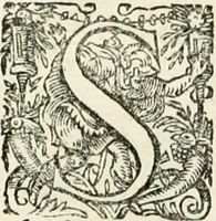 An illustration from I.[-VI.] pars Romanae vrbis topographiae & antiquitatum, quâ succinctê & breviter describuntur omnia quae tam publicê quam privatim videntur anim-adversione digna: (1597)