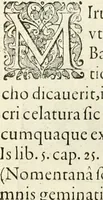An illustration from I.[-VI.] pars Romanae vrbis topographiae & antiquitatum, quâ succinctê & breviter describuntur omnia quae tam publicê quam privatim videntur anim-adversione digna: (1597)