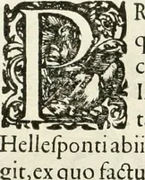 An illustration from I.[-VI.] pars Romanae vrbis topographiae & antiquitatum, quâ succinctê & breviter describuntur omnia quae tam publicê quam privatim videntur anim-adversione digna: (1597)