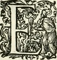 Picture 65 of 333 from I.[-VI.] pars Romanae vrbis topographiae & antiquitatum, quâ succinctê & breviter describuntur omnia quae tam publicê quam privatim videntur anim-adversione digna: (1597), leaf 271