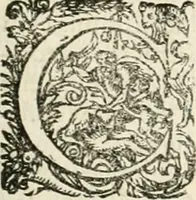 Picture 79 of 333 from I.[-VI.] pars Romanae vrbis topographiae & antiquitatum, quâ succinctê & breviter describuntur omnia quae tam publicê quam privatim videntur anim-adversione digna: (1597), leaf 292
