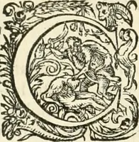 An illustration from I.[-VI.] pars Romanae vrbis topographiae & antiquitatum, quâ succinctê & breviter describuntur omnia quae tam publicê quam privatim videntur anim-adversione digna: (1597)