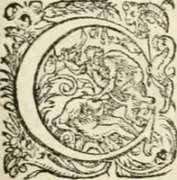 Picture 81 of 333 from I.[-VI.] pars Romanae vrbis topographiae & antiquitatum, quâ succinctê & breviter describuntur omnia quae tam publicê quam privatim videntur anim-adversione digna: (1597), leaf 302