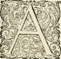 Picture 86 of 333 from I.[-VI.] pars Romanae vrbis topographiae & antiquitatum, quâ succinctê & breviter describuntur omnia quae tam publicê quam privatim videntur anim-adversione digna: (1597), leaf 308