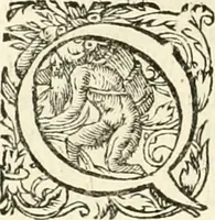 Picture 87 of 333 from I.[-VI.] pars Romanae vrbis topographiae & antiquitatum, quâ succinctê & breviter describuntur omnia quae tam publicê quam privatim videntur anim-adversione digna: (1597), leaf 309