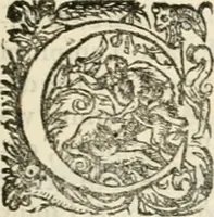 Picture 88 of 333 from I.[-VI.] pars Romanae vrbis topographiae & antiquitatum, quâ succinctê & breviter describuntur omnia quae tam publicê quam privatim videntur anim-adversione digna: (1597), leaf 310