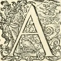 Picture 90 of 333 from I.[-VI.] pars Romanae vrbis topographiae & antiquitatum, quâ succinctê & breviter describuntur omnia quae tam publicê quam privatim videntur anim-adversione digna: (1597), leaf 311