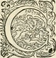 An illustration from I.[-VI.] pars Romanae vrbis topographiae & antiquitatum, quâ succinctê & breviter describuntur omnia quae tam publicê quam privatim videntur anim-adversione digna: (1597)