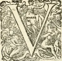Picture 92 of 333 from I.[-VI.] pars Romanae vrbis topographiae & antiquitatum, quâ succinctê & breviter describuntur omnia quae tam publicê quam privatim videntur anim-adversione digna: (1597), leaf 313