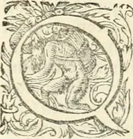 An illustration from I.[-VI.] pars Romanae vrbis topographiae & antiquitatum, quâ succinctê & breviter describuntur omnia quae tam publicê quam privatim videntur anim-adversione digna: (1597)