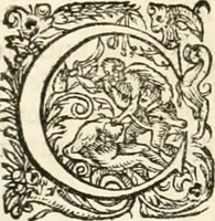 An illustration from I.[-VI.] pars Romanae vrbis topographiae & antiquitatum, quâ succinctê & breviter describuntur omnia quae tam publicê quam privatim videntur anim-adversione digna: (1597)